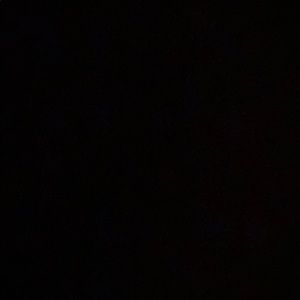 Meet your Posher, Shaniya